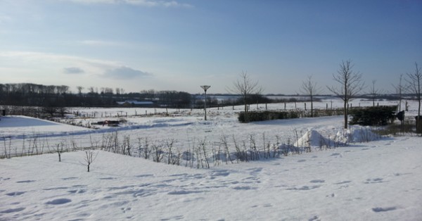 2012-02-04-13.02.08