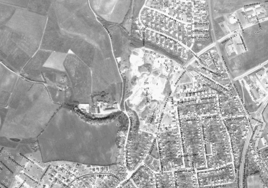 1973